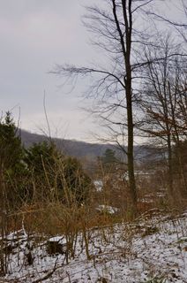 Fotografija s spletne strani Kellner Heidi na poti