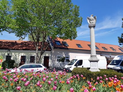 Foto von mmecki entlang der Tour