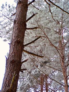 Fotografie z Kellner Heidi na trase