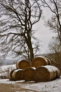 Zdjęcie z Kellner Heidi wzdłuż trasy