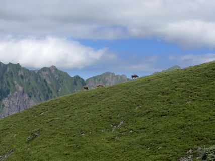 Photo de GabrielSR76 le long du parcours