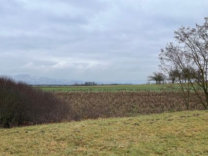 Photo de Norbert Herbig le long du parcours