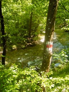 Fotografie z Kellner Heidi na trase