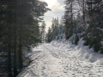 Photo de Norbert Herbig le long du parcours