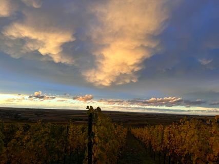 Foto van Norbert Herbig langs de tour