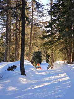 Fotografie z Linda Stefanits na trase