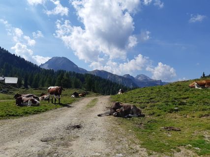 Foto de mmecki a lo largo del recorrido