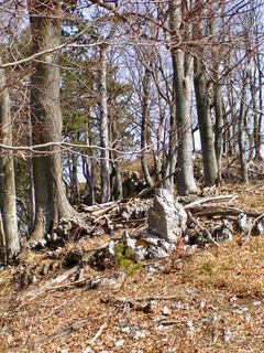 Foto von Kellner Heidi entlang der Tour