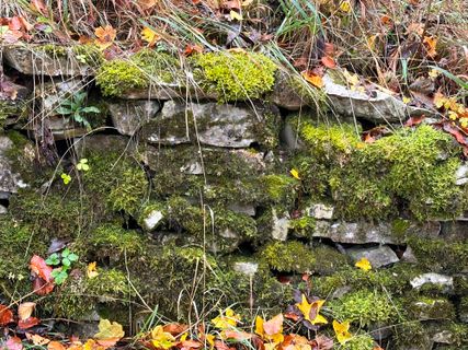 Fotografija s spletne strani Norbert Herbig na poti