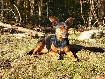 Foto von Antonietta Havasi entlang der Tour