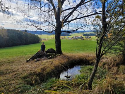 Photo de mmecki le long du parcours