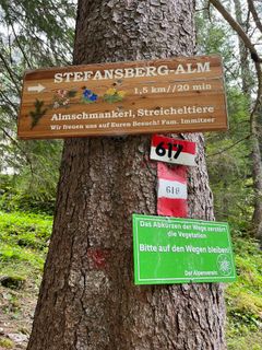 Foto von Sonja Rohrbacher entlang der Tour
