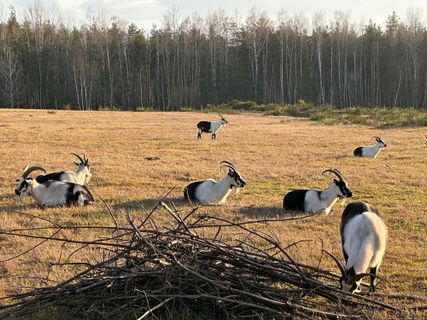 Fotografie z Norbert Herbig na trase