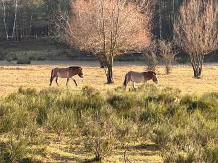 Fotografie z Norbert Herbig na trase
