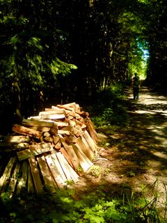 Photo de Kellner Heidi le long du parcours