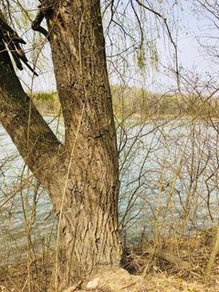 Zdjęcie z Kellner Heidi wzdłuż trasy