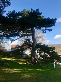 Photo de Kellner Heidi le long du parcours