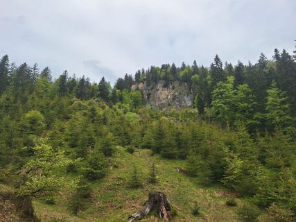 Foto de susanne groegor a lo largo del recorrido