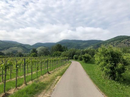 Foto von Omer Sharon entlang der Tour