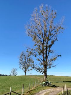 Foto de Kerstin Müller a lo largo del recorrido