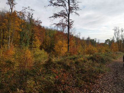 Fotografia z Ferenc Kiss na trase