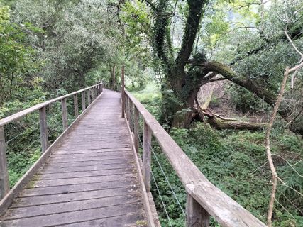 Photo de Arend Derksen le long du parcours