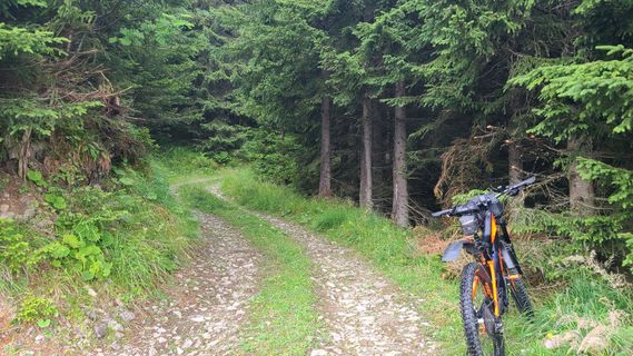 Foto von Bike Rider entlang der Tour