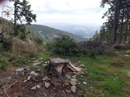 Photo de mmecki le long du parcours