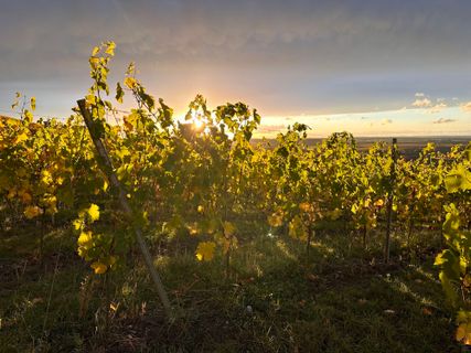 Foto van Norbert Herbig langs de tour