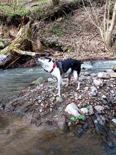 Fotografia z Antonietta Havasi na trase