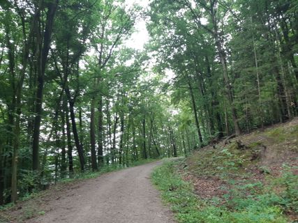 Foto de mmecki a lo largo del recorrido