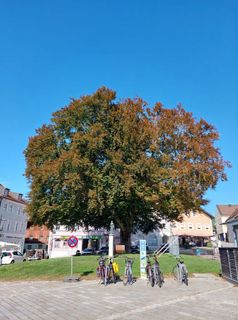 Foto von Andreas Wagner 9 entlang der Tour