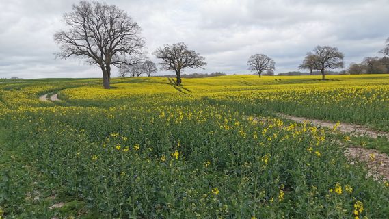 Fotografija s spletne strani Bernd Schmitt na poti
