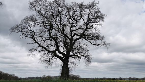 Zdjęcie z Bernd Schmitt wzdłuż trasy