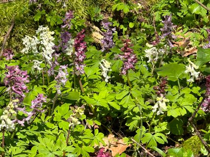 Foto von Norbert Herbig entlang der Tour