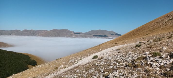 Fotografija s spletne strani Gabriele Cucchi na poti
