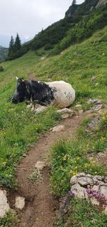Foto von Tobias Koch 1 entlang der Tour