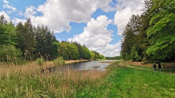Fotografia z Bernd Schmitt na trase