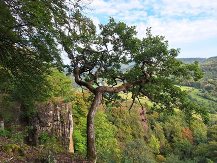 Zdjęcie z Jaap Rozeboom wzdłuż trasy