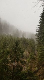 Foto von Harald entlang der Tour