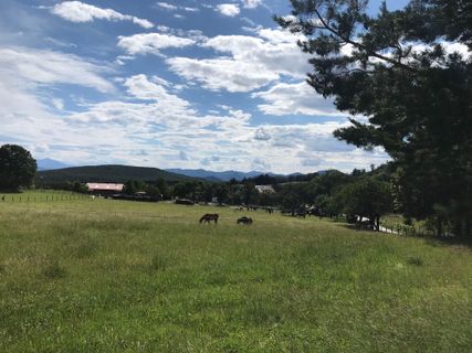 Foto von Christian Lerchster entlang der Tour