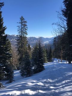 Fotografie z Heikoala na trase