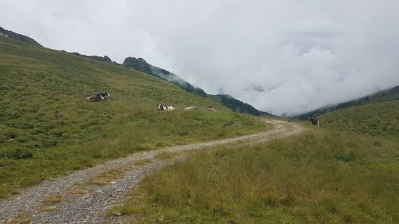 Zdjęcie z Tor Fich wzdłuż trasy