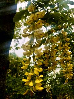 Photo de Kellner Heidi le long du parcours