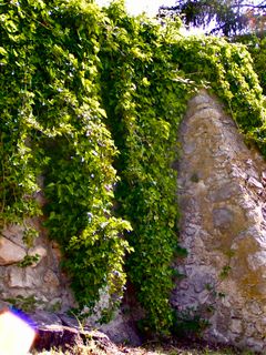 Foto von Kellner Heidi entlang der Tour