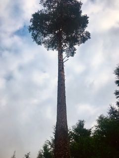 Foto von Kellner Heidi entlang der Tour