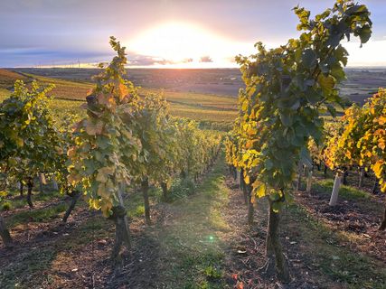 Foto van Norbert Herbig langs de tour