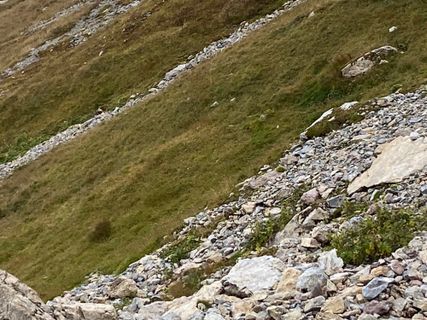 Foto von Fabio Infanti entlang der Tour