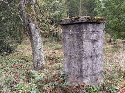 Foto de Norbert Herbig a lo largo del recorrido