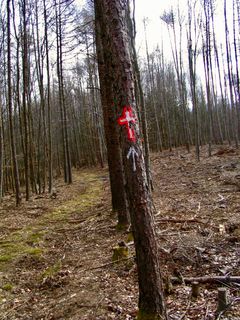Fotografie z Kellner Heidi na trase